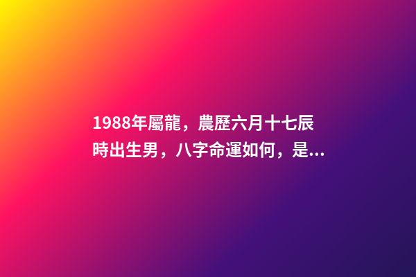 1988年屬龍，農歷六月十七辰時出生男，八字命運如何，是什么命，要注意什么？ 1988年農歷六月十一生男命,求一生的運程-第1張-觀點-玄機派